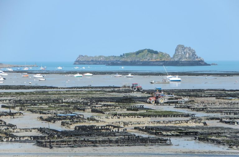 spot de pêche à pieds face aux Ebihens et Saint-Jacut