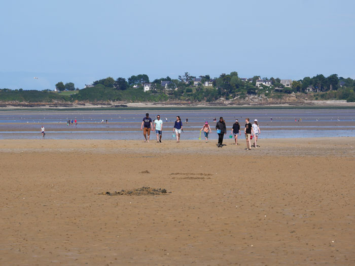peche à pieds en famille proche du camping Mirabel