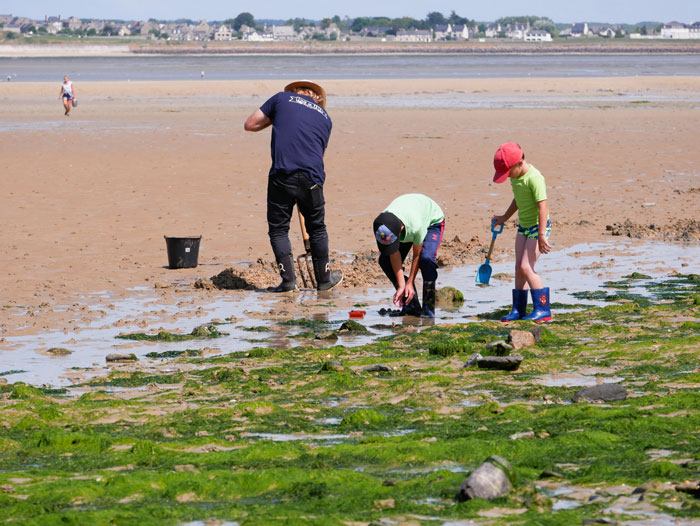 pêche à pied avec les enfants sur la plage des 4 Vaulx