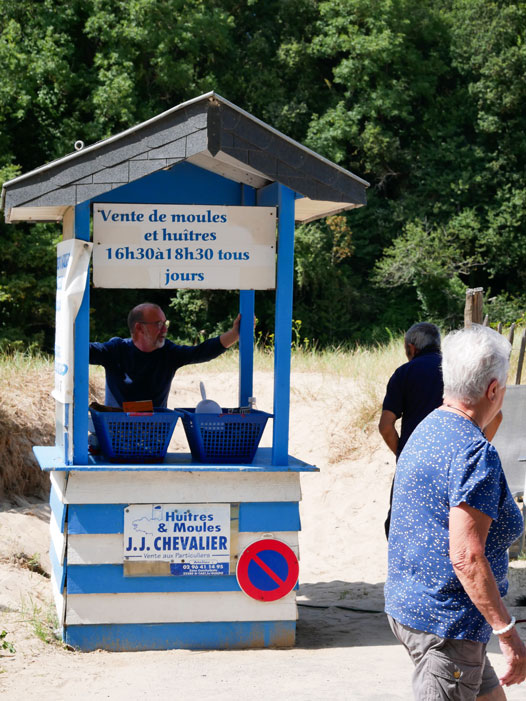 retour de pêche huitres et moules de Saint-Cast, en Bretagne